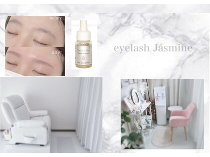 ジャスミン(Jasmine)の写真