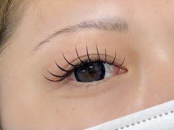 ルピナス 川口(Lupinus)/フラットラッシュ120本