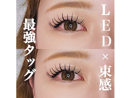 ノイ(neu)の写真