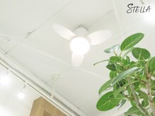 ステラ 恵比寿店(STELLA)/【店内雰囲気】