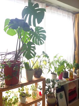 リラクゼーション サニー(Sunny)/癒し空間