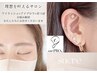 【耳ツボジュエリー20粒】肩こり,眼精疲労/美容と健康をサポート！￥3850