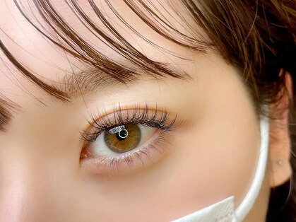 ドットラッシュ(.LASH)の写真