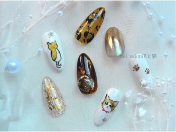 パラジェル/フィルイン/八王子