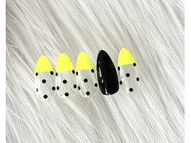 5月定額デザイン
