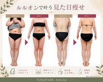 ヨサパーク フェリニタ(YOSA PARK felinita)