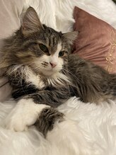 健康イン(健康IN)/お客様　まだかな