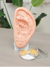 ミドコロ(midocoro)/耳ツボは脳に最も近いツボ！