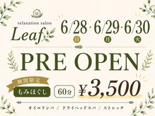 リーフ(Leaf)