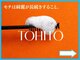 トヒト(TOHITO)の写真