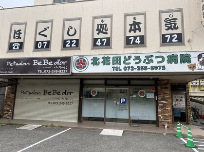 ほぐし処 本気 北花田店の写真