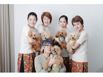 ビューティファクトリー バンブー(beauty factory Bamboo)/看板犬