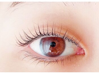 グランデ アム(Grande ame)/まつ毛パーマ/橋本/マツパ