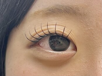 ステラ(STELLA)/学割 エクステ