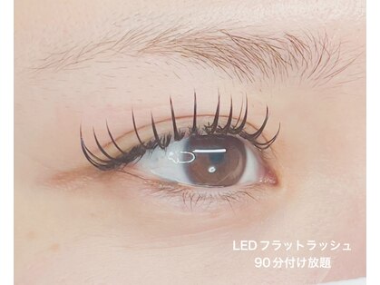 レアレアケー(Lea Lea_K)の写真