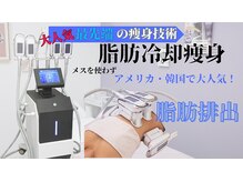 ユアーズビューティー(YOURS beauty)の雰囲気（脂肪冷却）