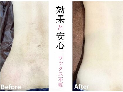 ココスターリー(Coco starry)の写真