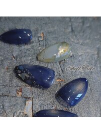 Shell Tide