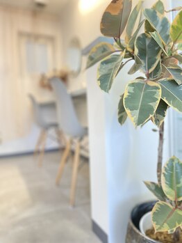 リリーナイン(Lily Nine)/パウダースペース