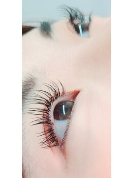 コア(Koa)/フラットラッシュ120本