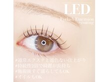 ボボラッシュ(BOBOlash)の雰囲気（高持続【LEDマツエク】お試しいただけます！）
