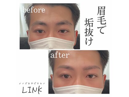 リンク(LINK)の写真