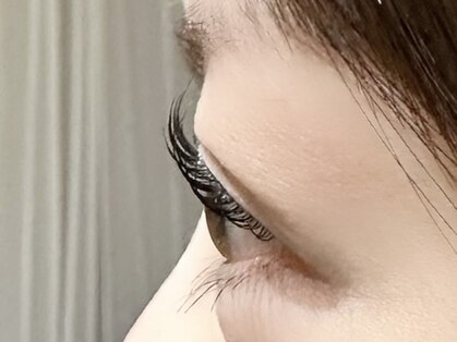 セディ(Sedi)の写真