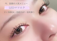 シエル(Ciel)