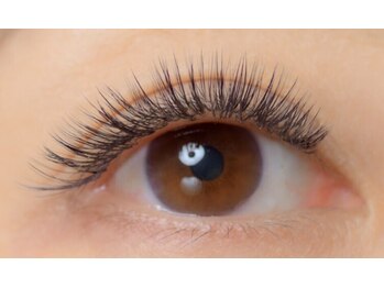 リンクス(LEM LINKS)/まつエクボリュームラッシュ