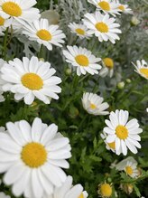 ビモア(美More)&nbsp;りん セラピスト