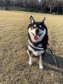 カレン 代官山(KALEN) 愛犬の黒柴です^^