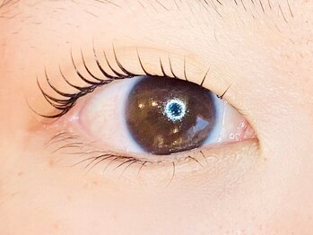 ヴァンカウンシル 川口店(VAN COUNCIL)/ラッシュリフト