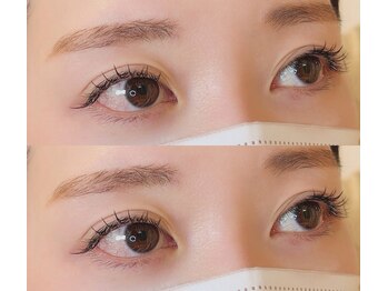 ネオリーブサイン(Neolive sign)/フラットラッシュ 100本