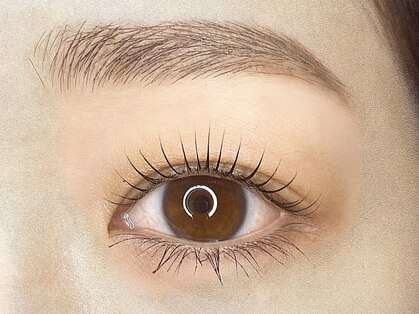 ベルアイラッシュ(vel-eyelash)の写真