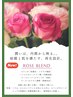 NEW！【よもぎ蒸し ローズブレンド】60分/ よもぎ蒸し会員様