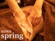 スプリング 柏店(spring)の写真