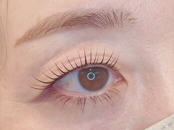 ソエルシー(soel sii)/L3リフト