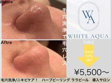 ホワイトアクア 京橋店(WHITE AQUA)