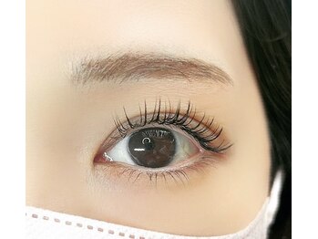 レーヴ(REVE)/フラットラッシュ120本