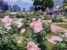 爪切り屋 足楽/春のバラ園★中ノ島