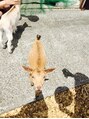 ヘルバ(HERBA) 動物が好きなので触れ合える牧場によく行きます！