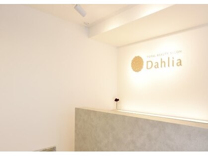 ダリア(Dahlia)の写真