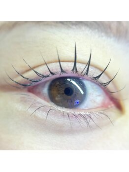 ボス(VOSS)/ピーナッツロッド/まつげパーマ