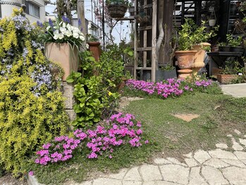 みもざ治療院/