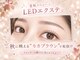 リリー(LILY)の写真
