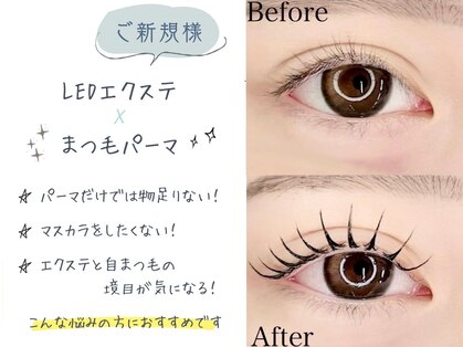 まつげとまゆげの写真