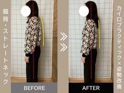 ワレア(Walea)の写真