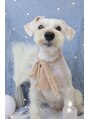小顔フェイスラボ 袋井店(小顔FaceLabo.) 愛犬のアッシュです♪