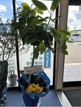 整体院スリーバランス 志布志院/