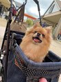 ライム 西船橋(LIME)&nbsp;休日は愛犬のおもちとお出かけします☆おもちの喜ぶ顔が癒しです